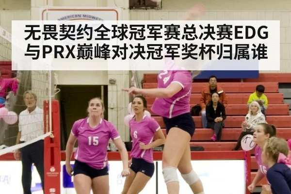 无畏契约全球冠军赛总决赛EDG与PRX巅峰对决冠军奖杯归属谁