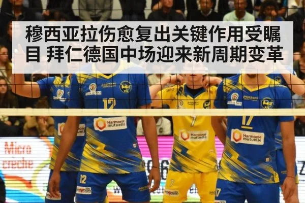 穆西亚拉伤愈复出关键作用受瞩目 拜仁德国中场迎来新周期变革
